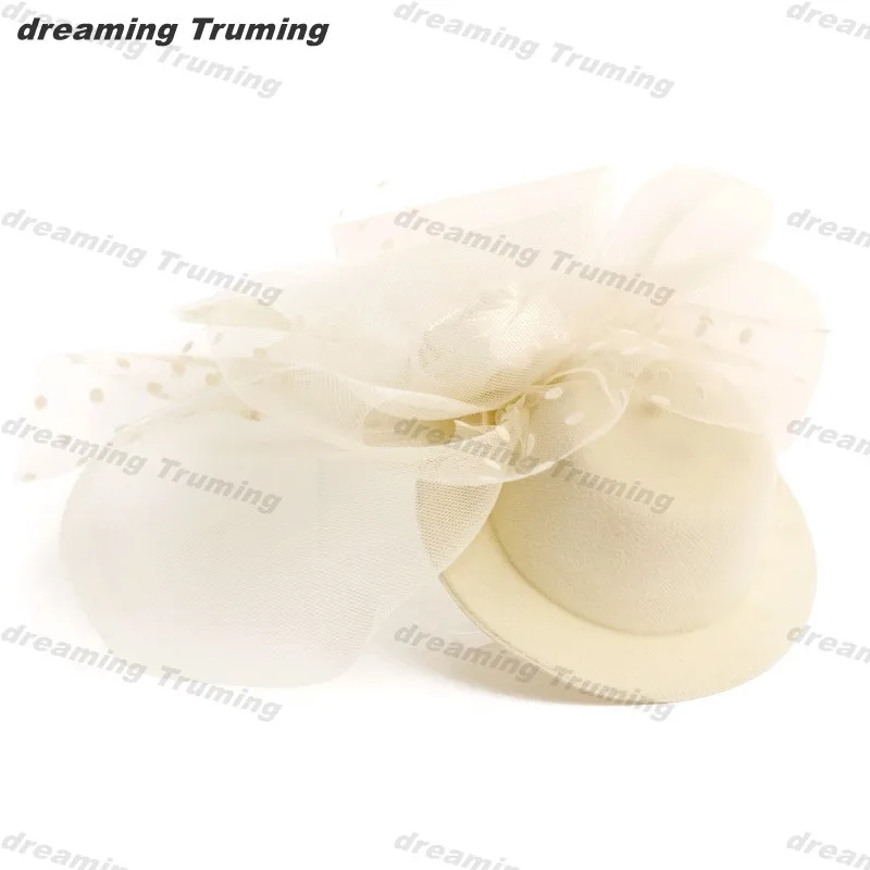 Фантастический Черный цвет слоновой кости клетка сетка Свадебная вуалетка вуаль