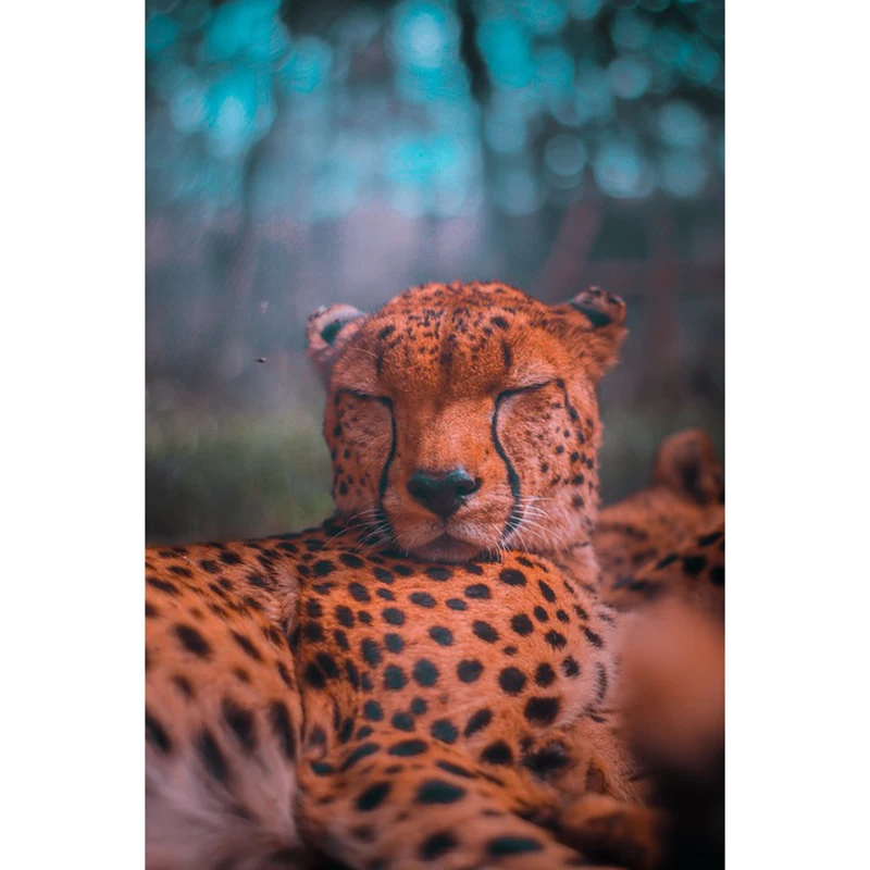 

3D Rhinestone Painting Crystal Decor DIY Diamond Painting Cross Stitch "Leopard wildlife" Pattern Diamond Embroidery Crafts