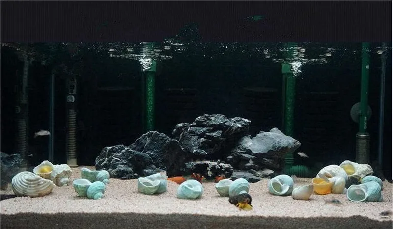 Japan SUDO 1 piece 1kg fish tank bottom sand aquarium landscaping natural Ingredients color sea crystal | Дом и сад