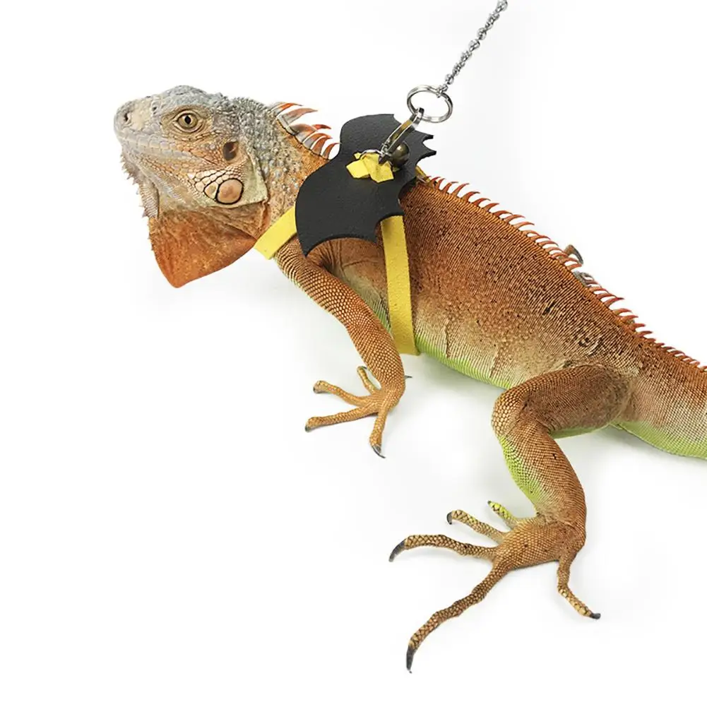 Поводок для ящерицы Lizard поводок бороды игуаны рептилий пояс поводка|Ошейники