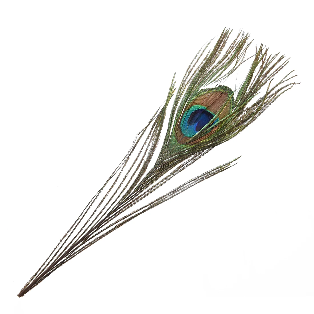 100 шт перьев павлина 10 &quot 12&quot|peacock feathers|feather feather100 feathers |