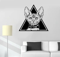 vinyl sticker wall sticker animal pet clairvoyance cat three eyes magic home living room fashion decorative wall sticker dw03