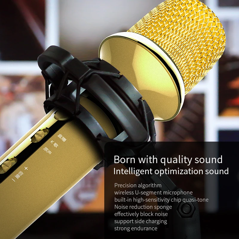 See me here SK500 Bluetooth динамик с беспроводным микрофоном караоке беспроводной стерео
