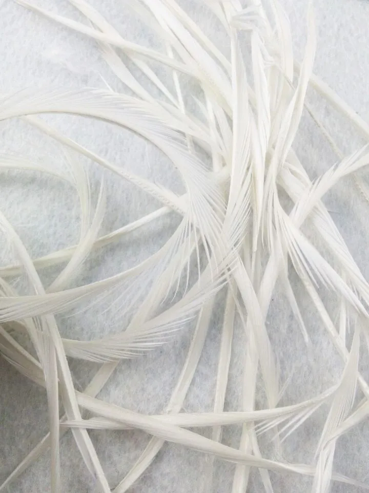 Выбирайте из реальных фотографий! 10 шт./лот красивые ремесла перо рваные края 6 8