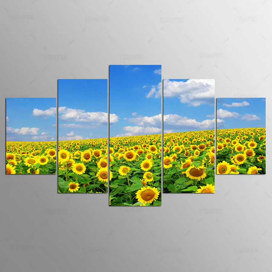 

5 panel modern hd Sunflower flower Art print canvas art wall framed paintings for living room wall picture kn-77