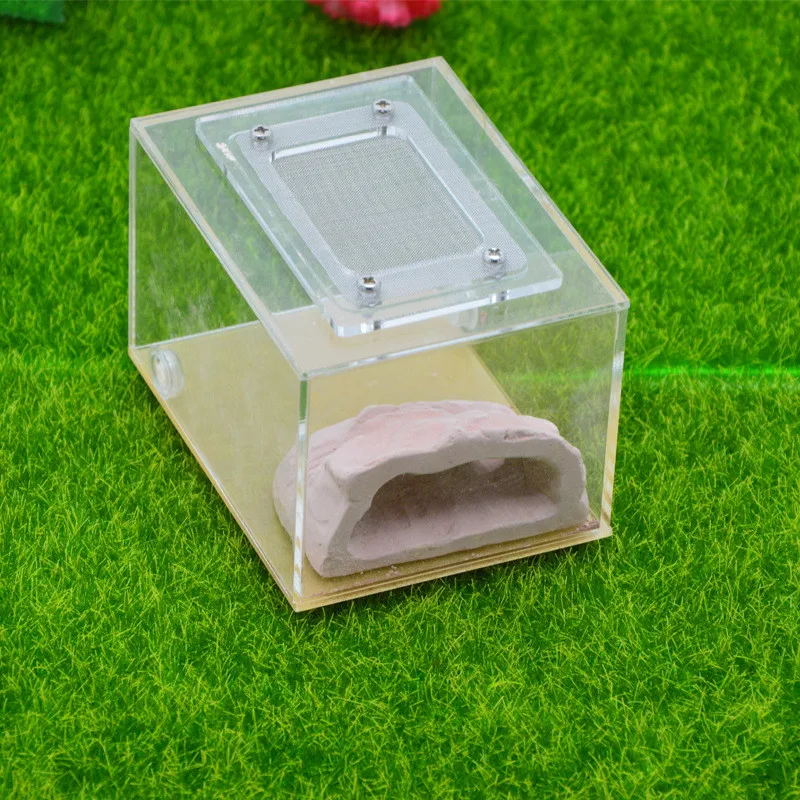 Имитация экологического муравьиного гнезда DIY штукатурка rockery acryl pet муравьиный замок муравьиная ферма насекомое муравьиные гнезда вилла