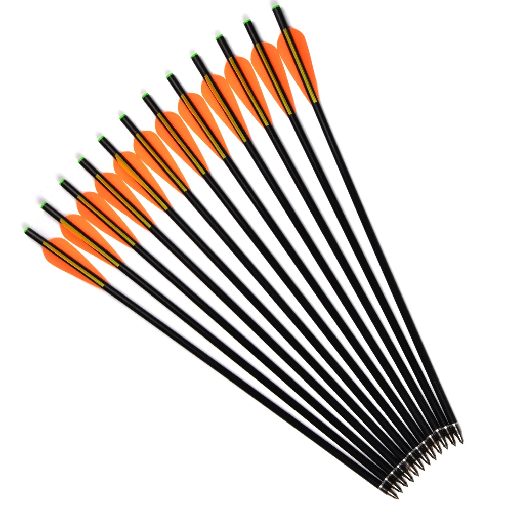 

Free Shipping 6/12/24pcs 17/20" Fiberglass Arrow with Diameter 8mm Replaceable Tips Archery for Recurve Bow Hunting/Shooting
