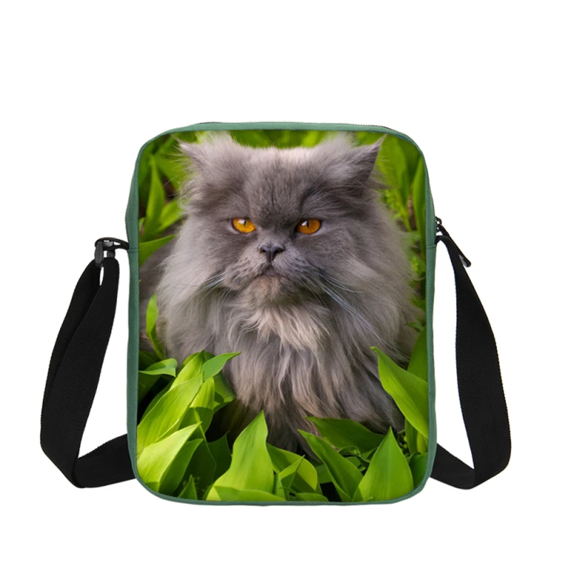 Hynes Eagle Small Shoulder Flap Bags For Kids 3D Animal Prints Crossbody Oxford Zipper Bag Handbags Casual Messenger | Багаж и сумки