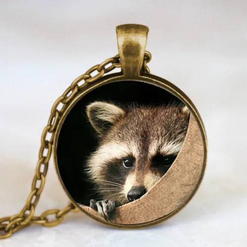 Raccoon фото логотип подвеска в стиле стимпанк винтажное ожерелье dr who
