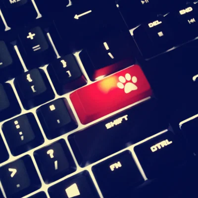 ABS прозрачная подсветка Клавиша ввода s CS GO вишневые цветы Corsair razer Blizzard Cat коготь механическая клавиатура OEM клавишная крышка