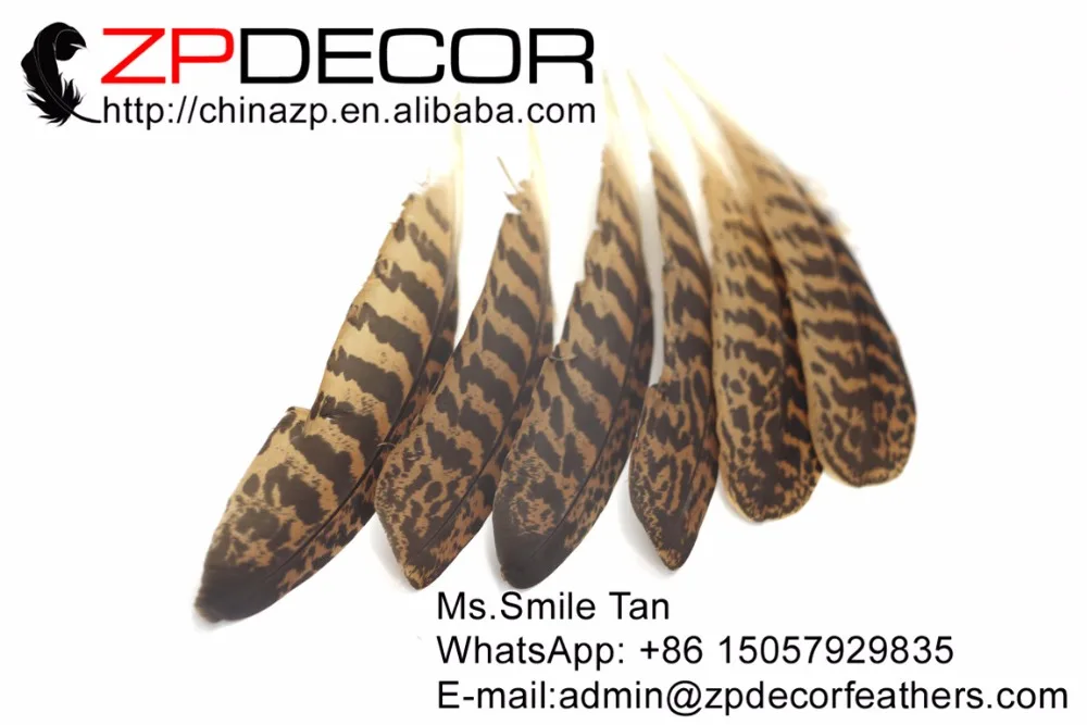 

ZPDECOR Natural 20-30cm 44pieces/set Barred Mottled Mine Good Quality Peacock Wing Quill Feathers for Carnival Costumes Decor