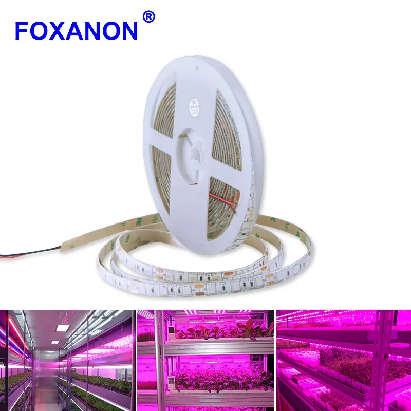 Лента светодиодная Foxanon для фитоламп 5050 светодиодов 5 м 300 | Лампы и освещение