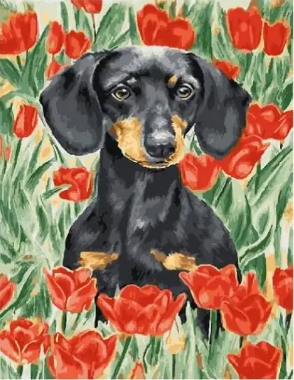 

Cioioil-T1311 такса, рисование по номерам на стене, рисование по номерам на холсте, рисование на холсте