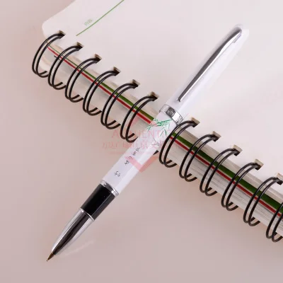 Герой классический синий и белый фарфор 9651 Иридиум авторучка цветок сливы