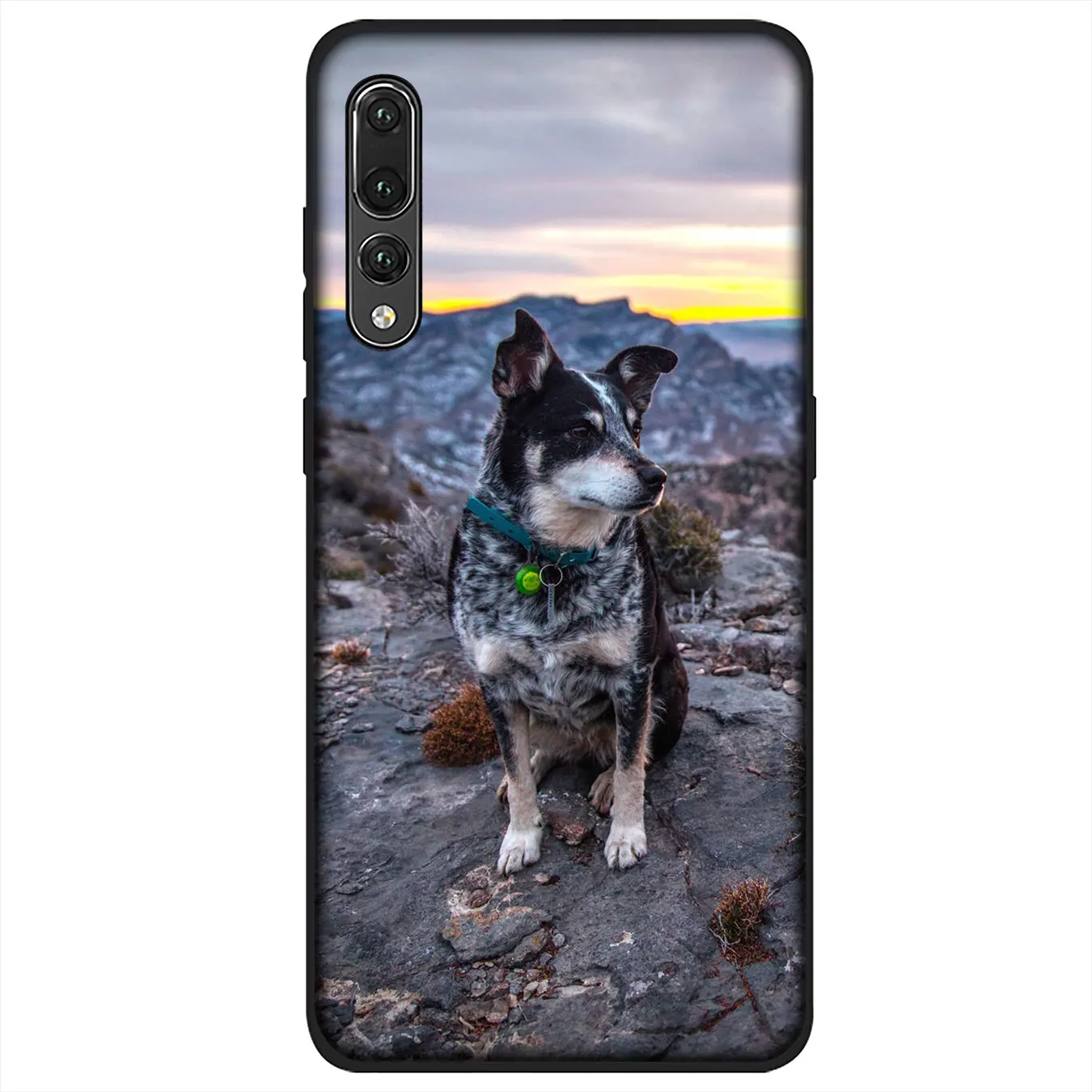 Мягкий силиконовый чехол YIMAOC Border Collie Dog Для Huawei P30 P20 Pro P10 P9 Lite Mini 2017 2016 черный P Smart Z