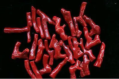 

26pcs Natural Oxblood Red Branch Mediteranean color Bamboo coral drill pendant
