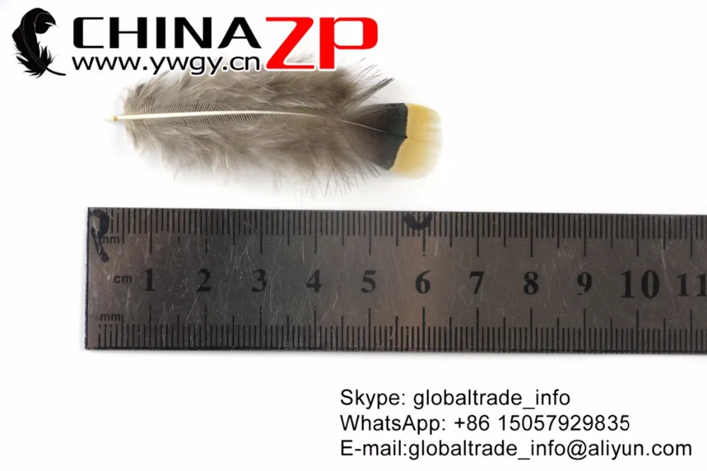 Chinazp по оптовой цене перо головной убор Индийские ремесла 200 шт./лот уникальные