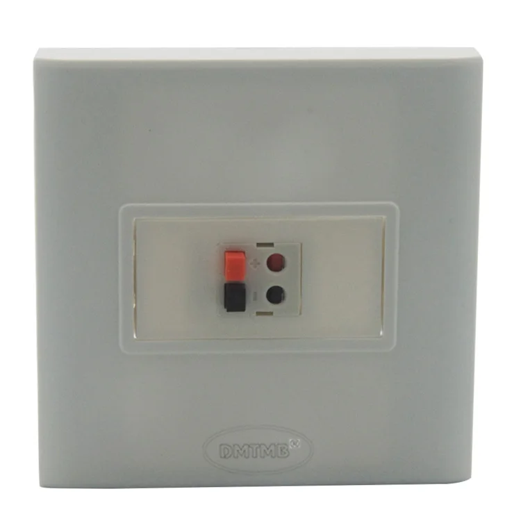 Размер 86X86 2 порта стандартная звуковая коробка|wall plate|speaker wall plate86 x 86 |