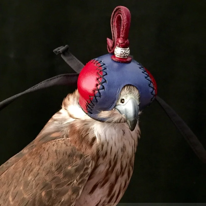Falconry Eagle кричащий капюшон Сокол шляпа воловья маска для глаз орла защитный шлем