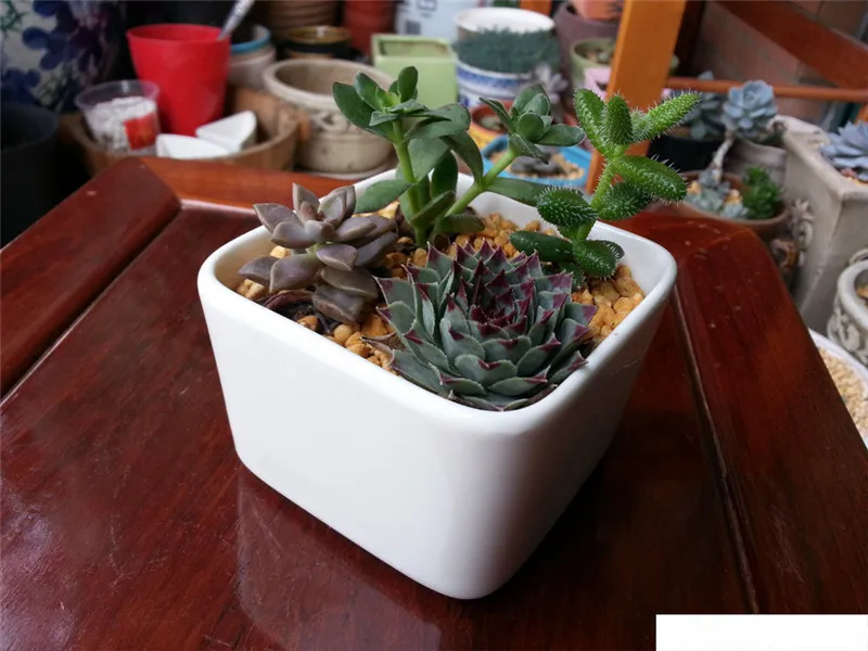 Простая белая керамическая оригинальная настольная прямоугольная для мяса