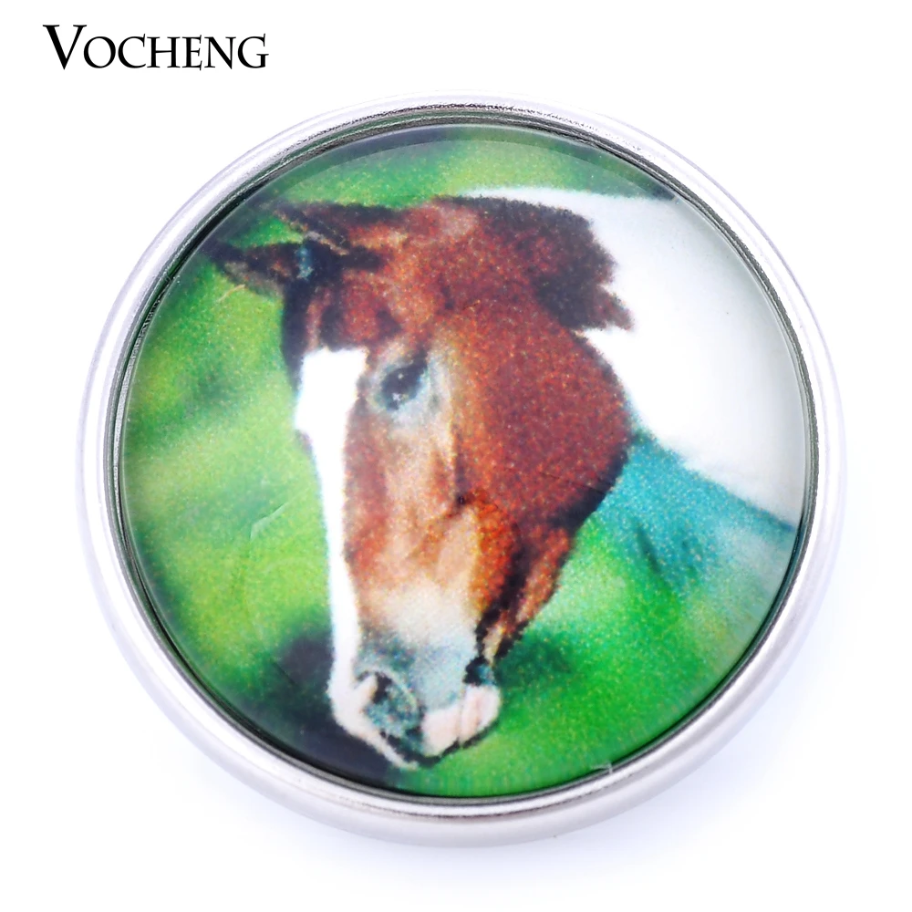 

Vocheng Snap Button Charms 18mm Interchangeable Jewelry Glass Horse Vn-999