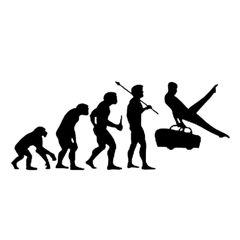 16 см * 6 5 Evolution гимнастический конь гимнастика интересные виниловые наклейки в