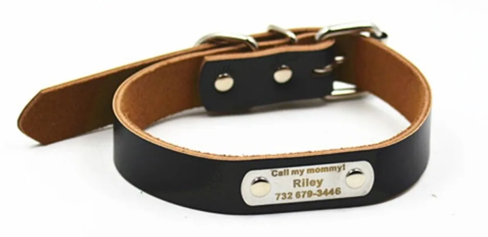 Горячая распродажа! и популярный кожаный ошейник Бесплатная гравировка DIY dog tag