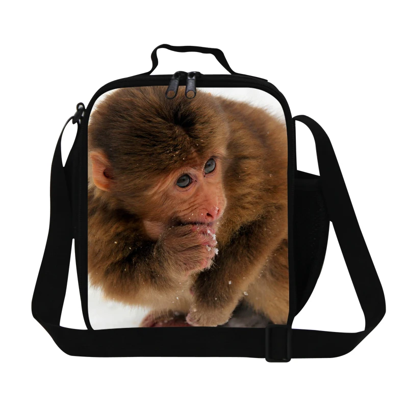 Ланч бокс с мультипликационным рисунком животных для студентов орангутана