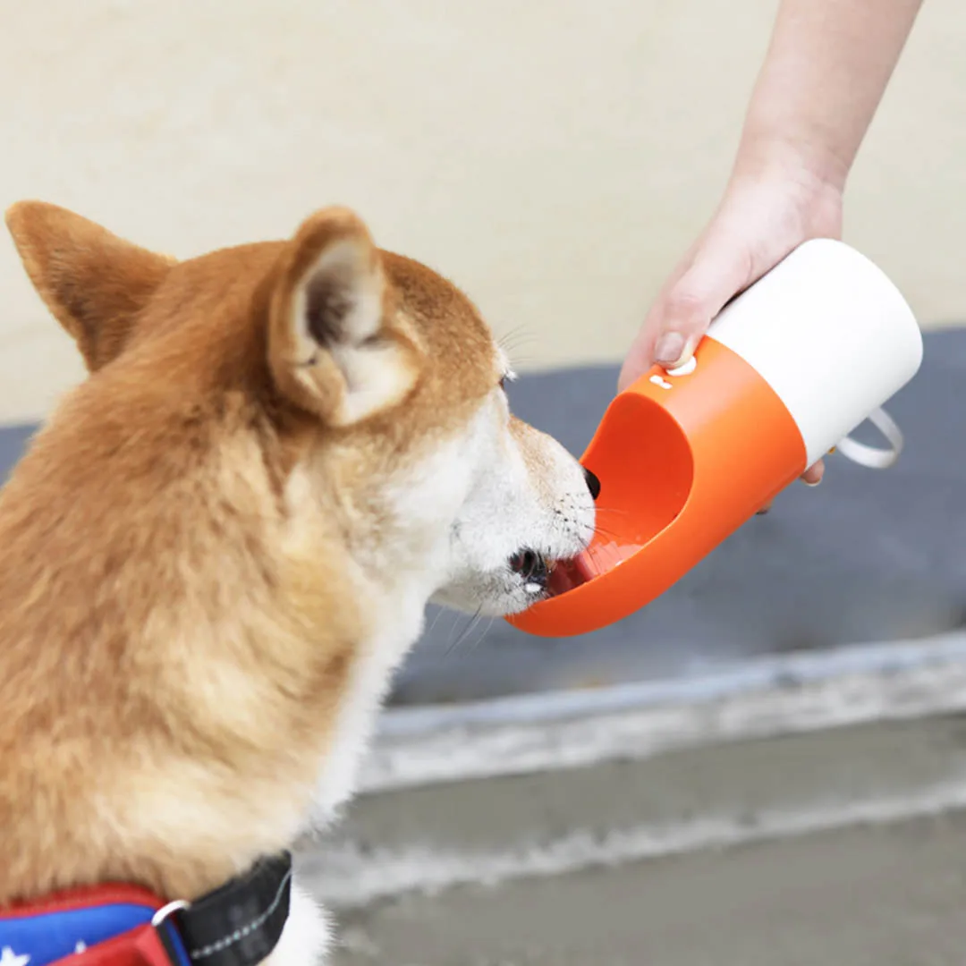 Горячая ракета Pet бутылка для воды Портативный Путешествия собака чаша кошка