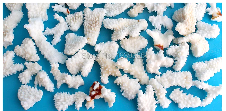 Натуральные белые коралловые рифы водные питомцы украшения для пруда декорация