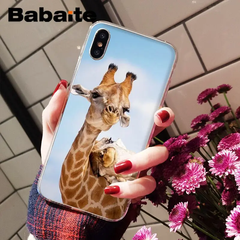 Babaite Забавный милый чехол для телефона с изображением маленьких животных Fundas iPhone