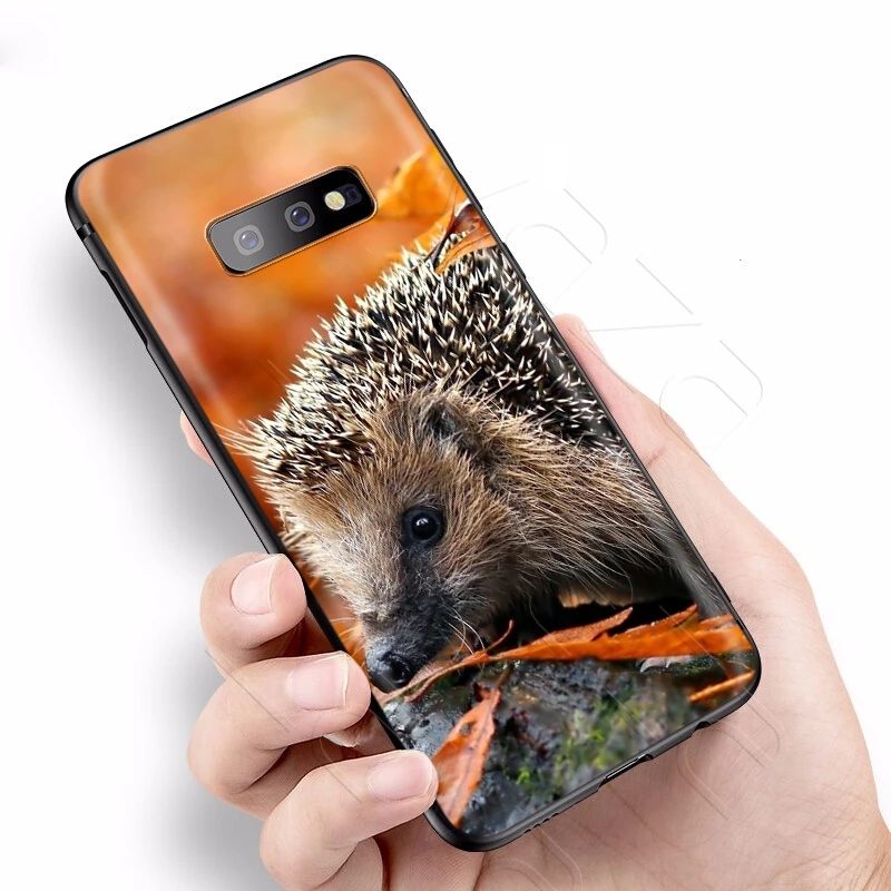 Lavaza Animal Cute Cartoon Hedgehog Case for Samsung Galaxy S6 S7 Edge J6 S8 S9 S10 Plus A3 A5 A6 A7 A8 A9 Note 8 9 |