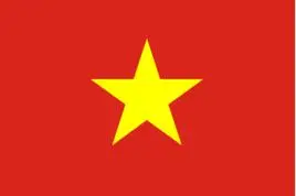 

Vietnam Flags Wholesale Lot of 10 PCS National Polyester Banner150* 90cm 3ft x 5ft All over the world outdoor