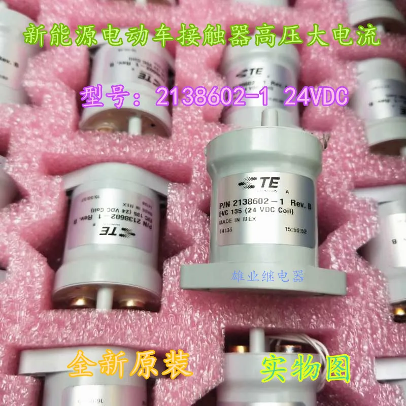 

2138602-1 24VDC car Relay