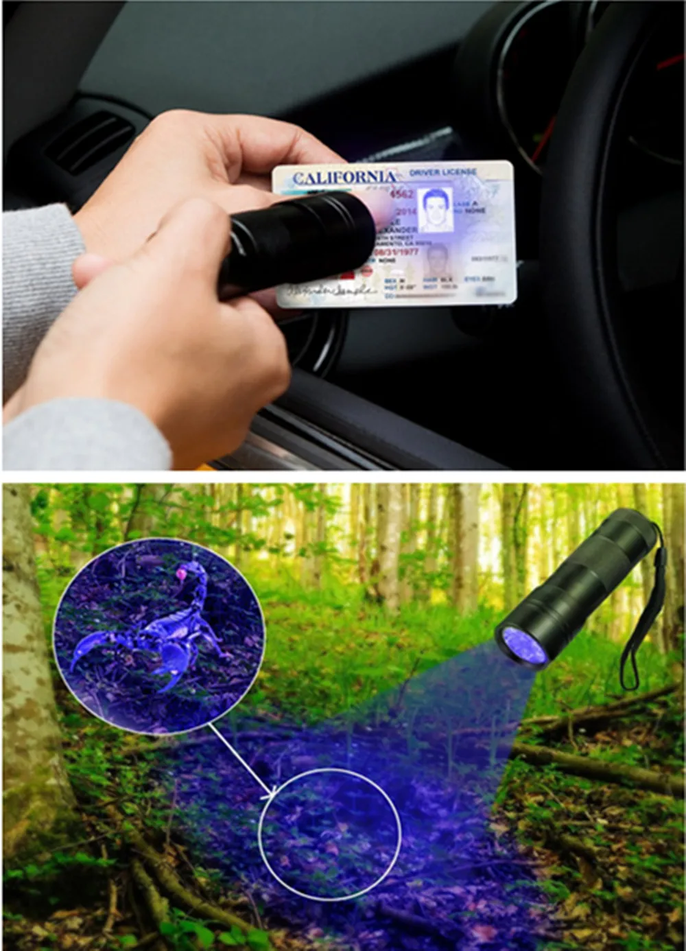 Ручной УФ фонарик 12 светодиосветодиодный детектор мочи и пятен домашних