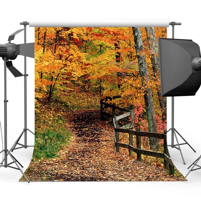 

Vinyl Autumn Forest trees Backdrop for Photography Maple Leaf Path Background for children wedding Photo Shoot Studio