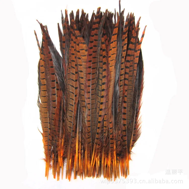 

100pcs for dyeing natural orange pheasant tail feathers 30 to 35 cm feather decorations wholesale
