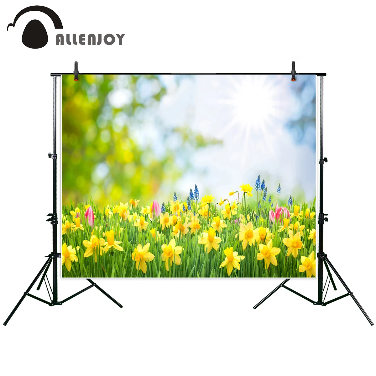 Allenjoy фон для фотосъемки весенний Пасхальный красивые желтые нарциссы
