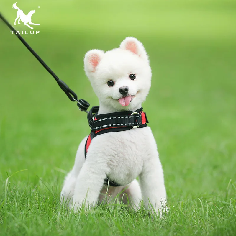 TAILUP ошейник для домашних животных K9 мягкий Экстра Маленький Светоотражающий