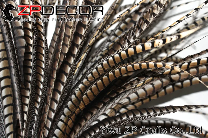 Zpdecor 32-36 дюймов(80-90 см) 50 шт./лот высокое качество натуральный длинный Алмазный фазан перья из хвоста фазана для карнавала шоу EMS бесплатно