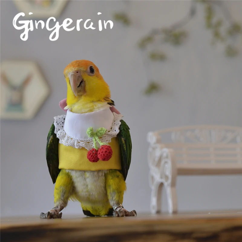 Gingerain одежда с птицами для попугаев вишневый свитер оригинальный ручной работы