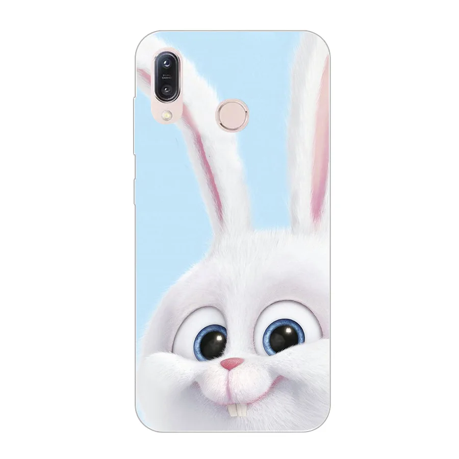 Phone Cases For Asus ZenFone MAX M1 ZB555KL Case Painting Patterned Soft Silicon TPU Protective Back Cover for |