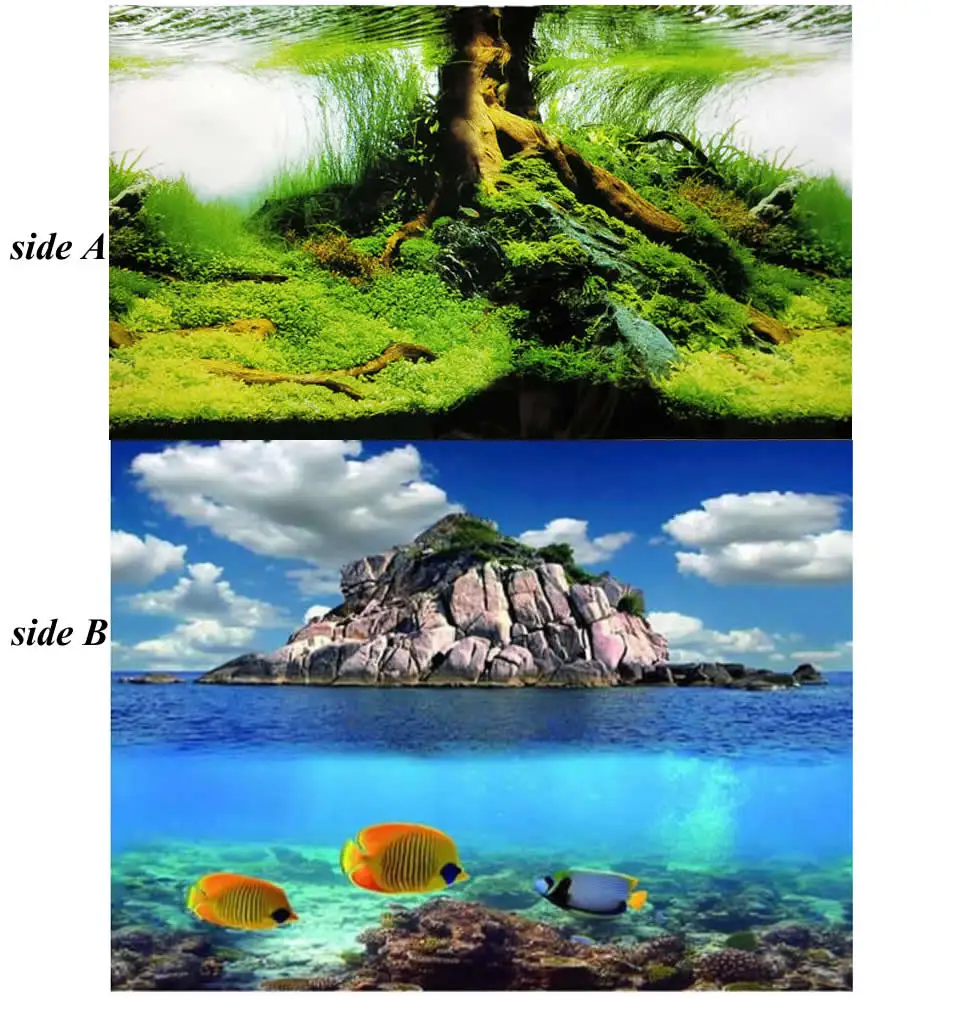 9045 23," x 60" двусторонняя аквариум украшения картина плакат Waterscape/три рыбы задний фон для аквариума