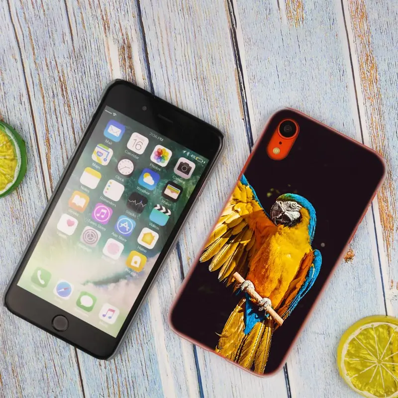 Модный прозрачный жесткий чехол для телефона с рисунком животного попугая iPhone X XS