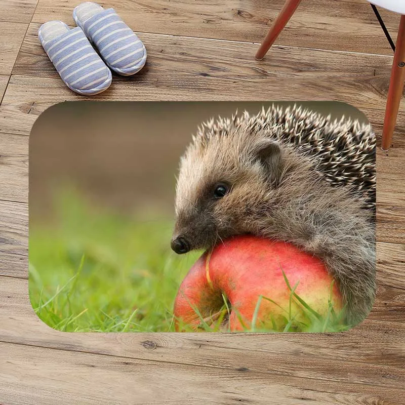 Напольный коврик hedgehog для входной двери пользовательские коврики ванной комнаты
