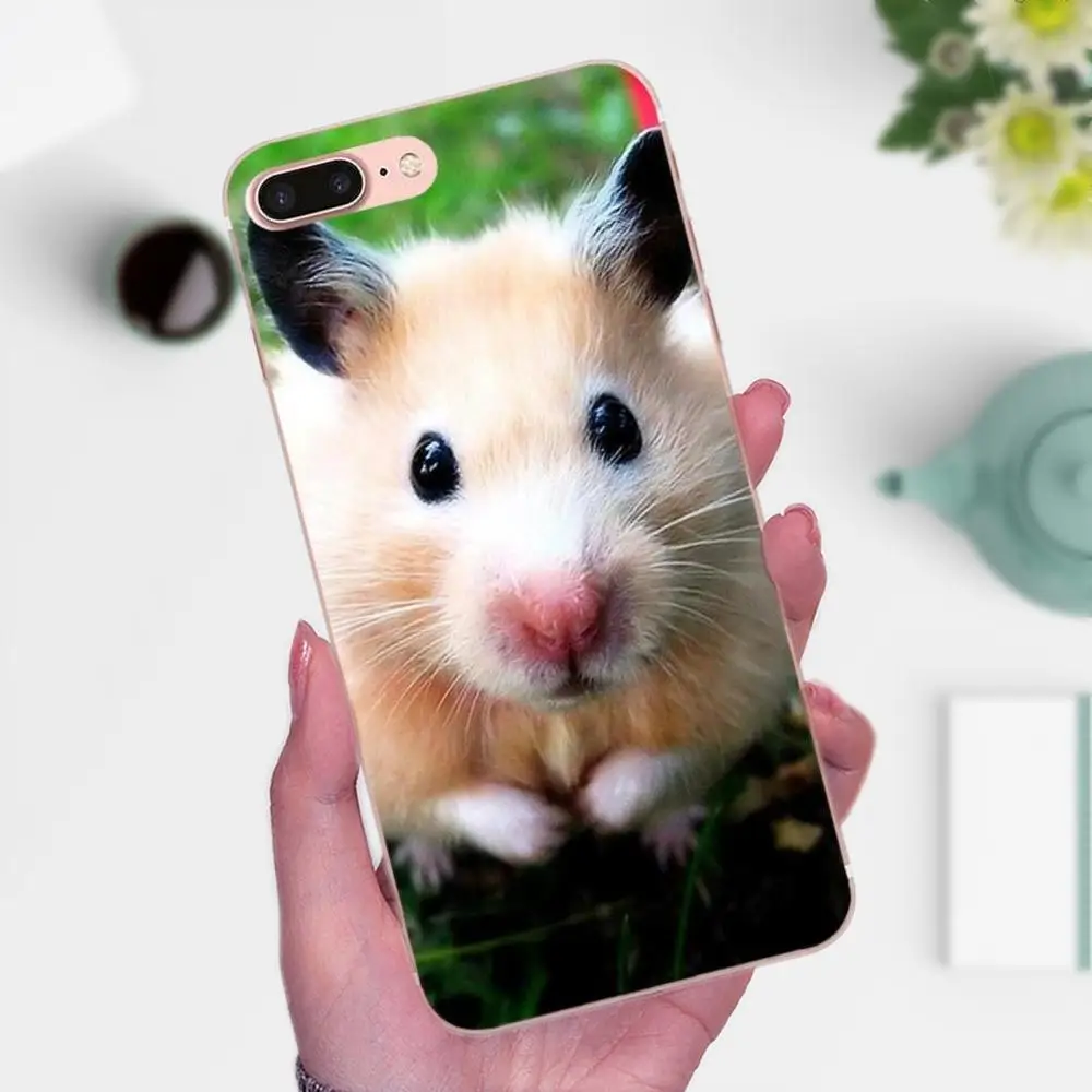 Для Xiaomi Mi3 Mi4 Mi4C Mi4i Mi5 Mi 5S 5X 6 6X 8 SE A1 Max Mix 2 Note 3 4 TPU печать милое животное хомяк|Бамперы|