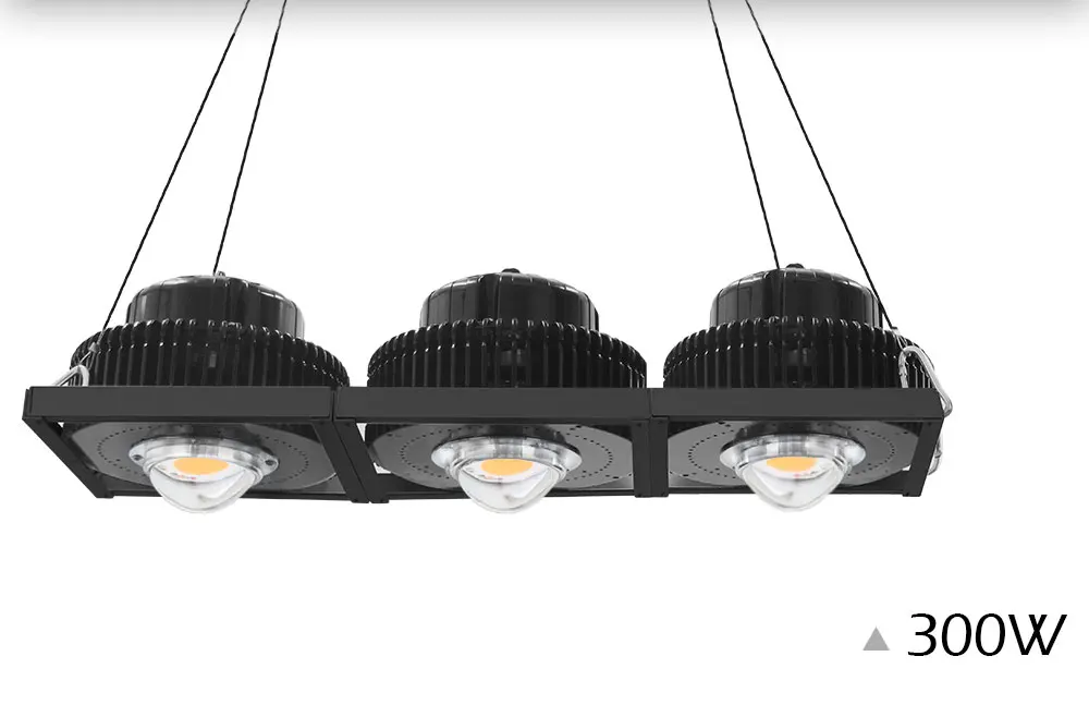 CREE CXB3590 100W 200W 300W 600W 900W COB светодиодный Grow светильник полный спектр Светодиодный лампа для выращивания Светодиодные промышленные светильники Meanwell для ускорения роста растений светильник