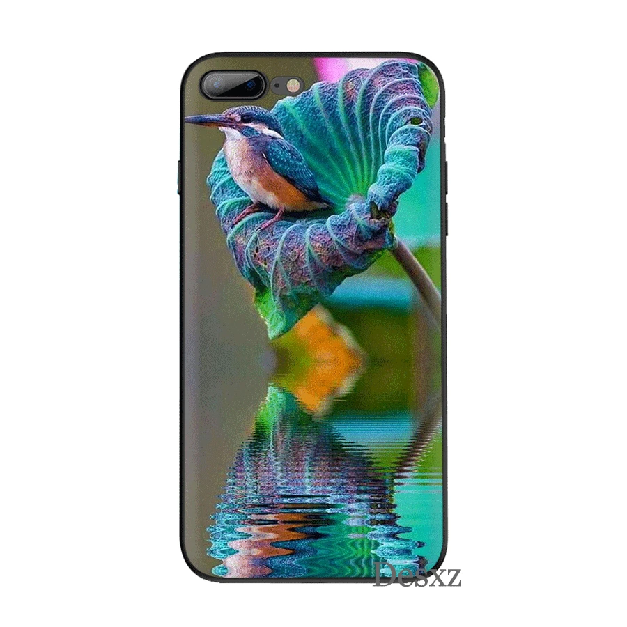 Черный мягкий ТПУ чехол для iPhone 11 Pro 5 5S SE 6 6s 7 8 Plus X XS XR Max|Чехлы-накладки| |
