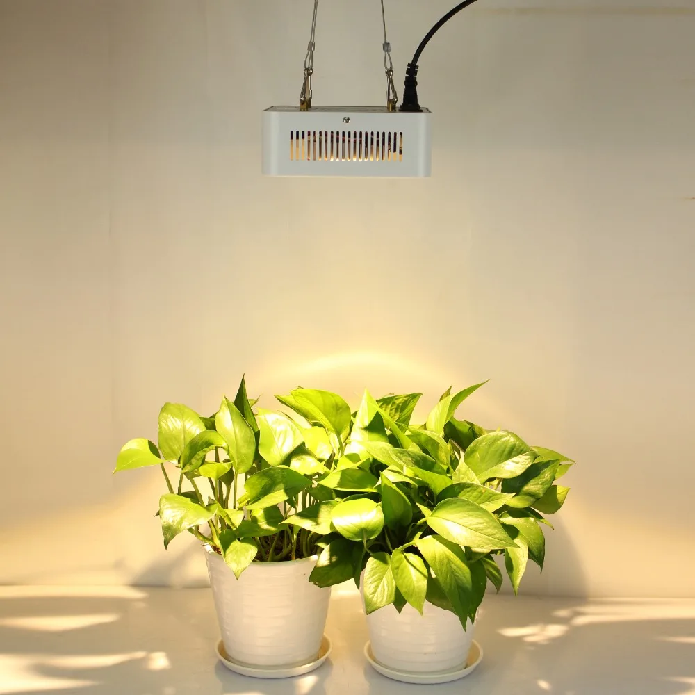 CREE CXA3070 200W 400W 800W COB светодиодный свет для выращивания полного спектра лампа для выращивания растений с питанием от источника фитолампа Фито лампы для комнатных растений подсветка для рассады