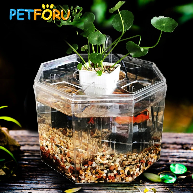 PETFORU, большой размер, 4 комнатный аквариум, акриловый, четыре Сплита, бетта, аквариум с корзиной, растение, 4 банта, бойцовый, изолирующий люк, порода, коробка